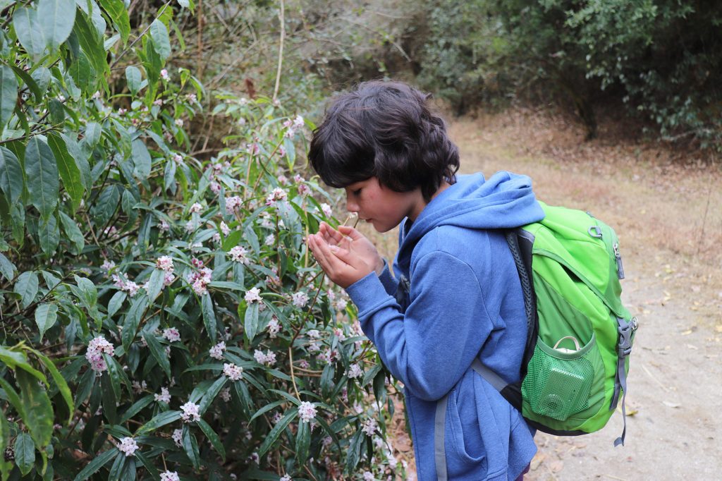 Tips for hiking with kids - child smells flowers 