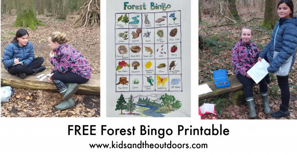 Summer Outdoor Activities with kids - Forest Bingo Card 