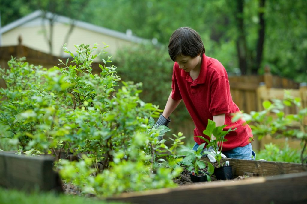 Child gardening 