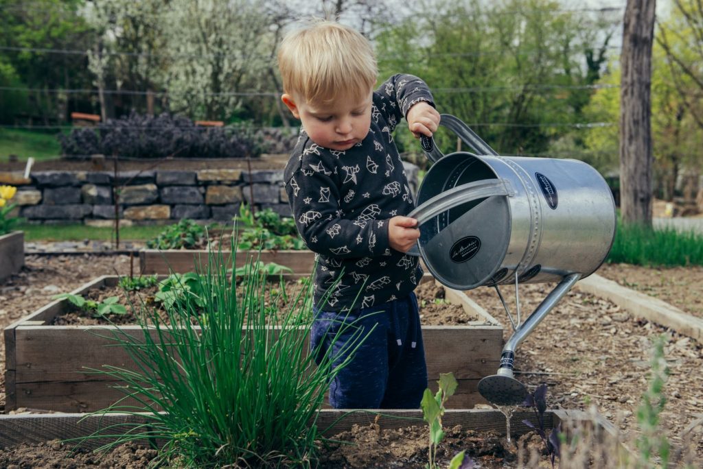 Gardening with kids - child watering plants