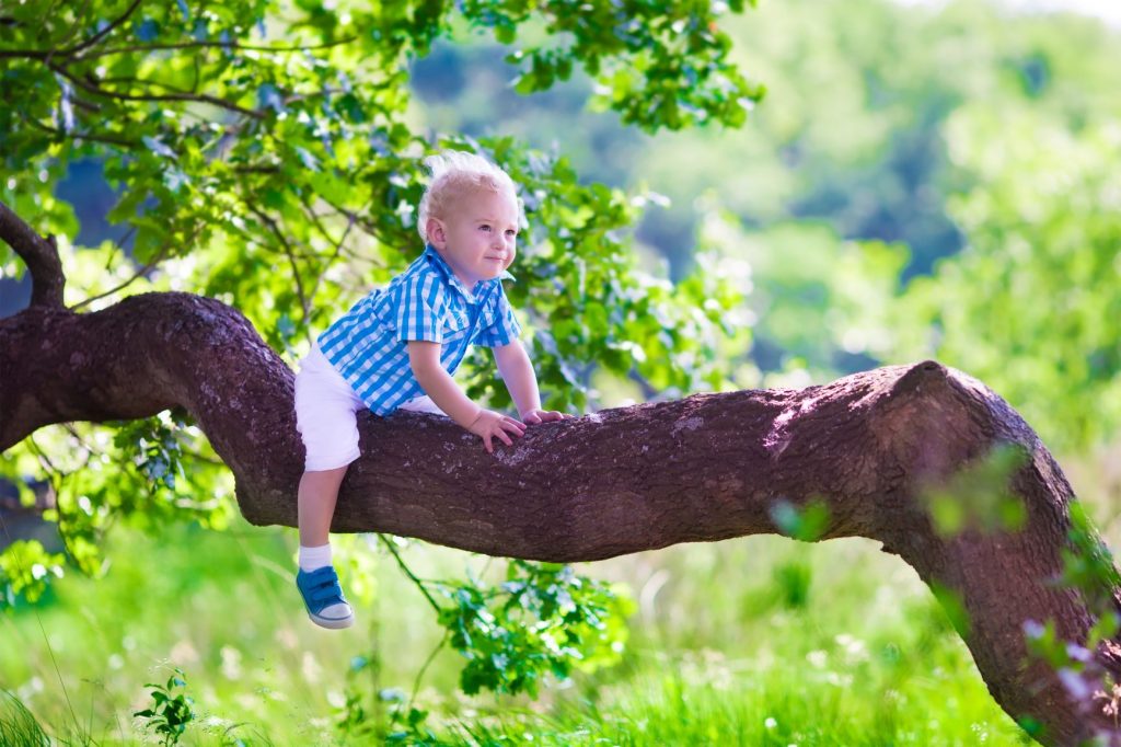 Child climbing a tree in summer 