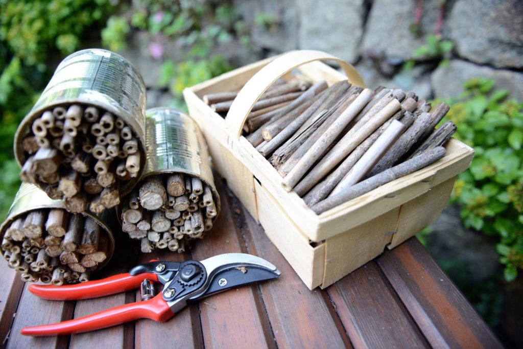 Build a simple insect hotel with kids with a can 