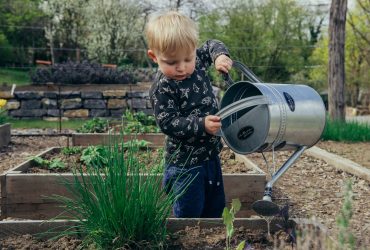 Gardening with kids – growing a green thumb